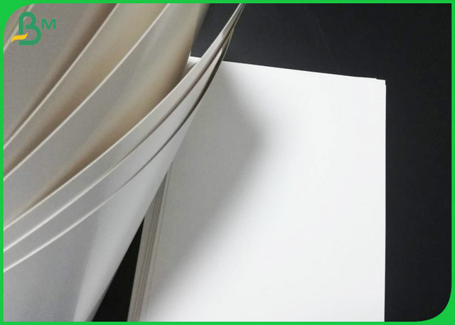 Single Side Coated White Board Food Grade 300gr & 15gr PE Making To - Go Box