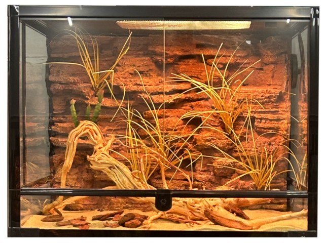 Easily Installed Snake Terrarium Background Lightweight Stumps SL-M28A