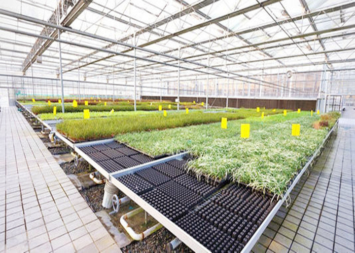 Safety Durable Oil Fired Steam Generator Automatic Operation For Greenhouse