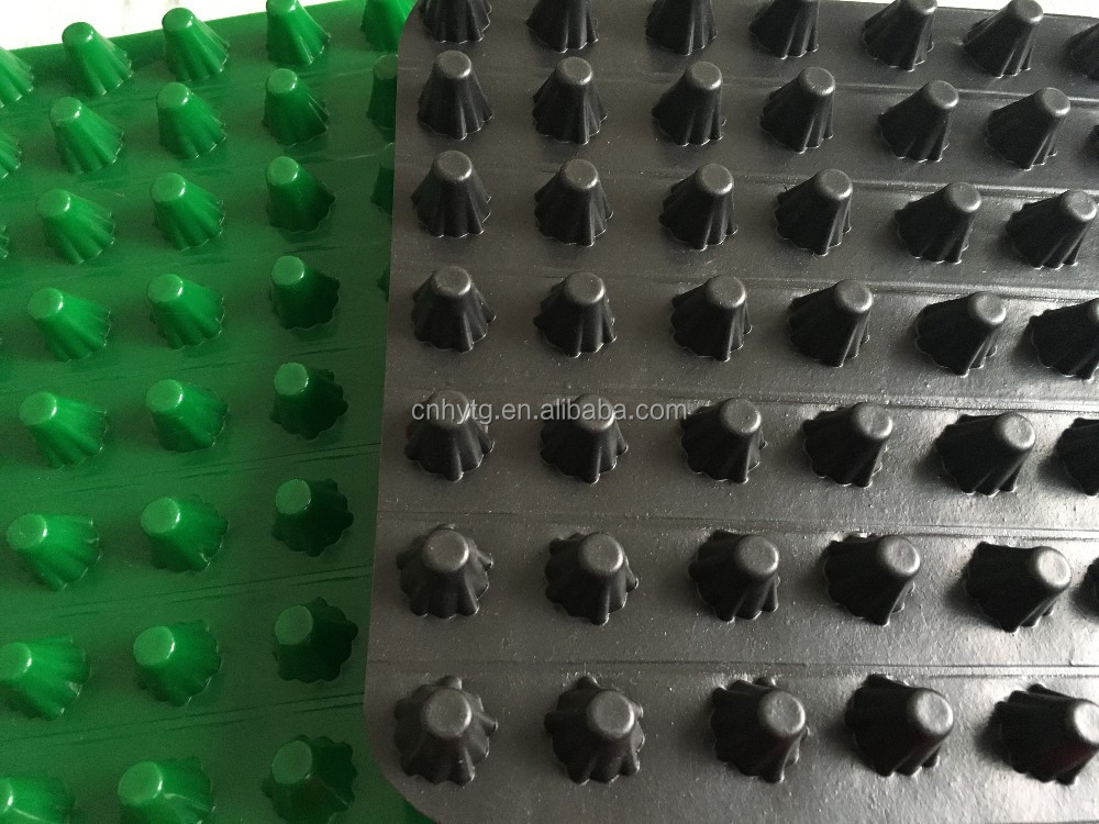 Modern Engineering Construction Waterproofing Water Storage Drainage Board for Roof Garden
