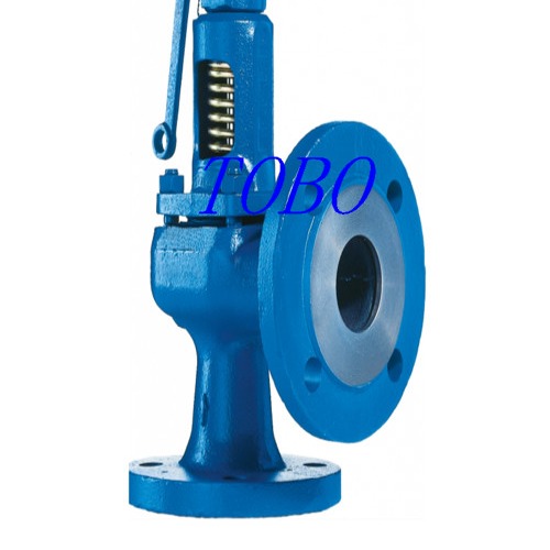 PN16 DN20 Full Lift Spring Loaded Pressure Safety Valve , Steam Boiler Relief Valve