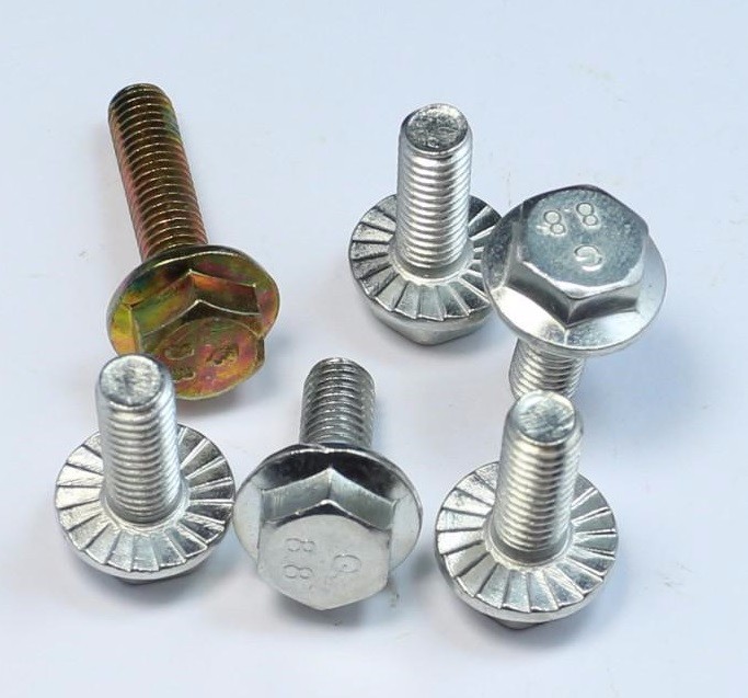 Stainless Steel SS304 Toothed Washer DIN6798A with External Serrated Lock and Plain Finish