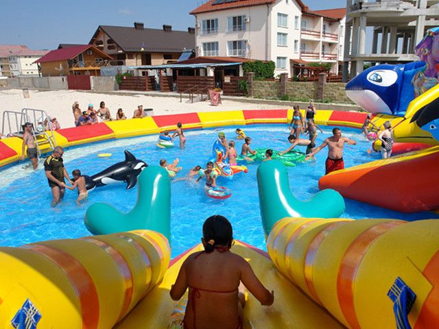 customized giant octopus water park,dolohin animal inflatable water park with big pool toys