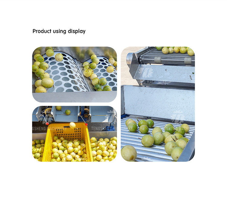 280KG Fruit sorting size picking machine stainless steel material specifications can be determined for sorting potatoes
