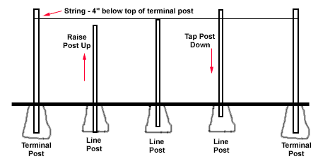Showing how to position fence posts