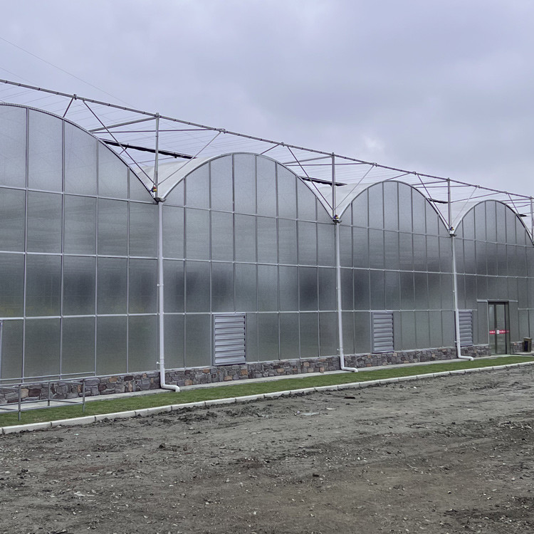 Large Polycarbonate Film Greenhouse / Multi Span Greenhouse Multi Functional