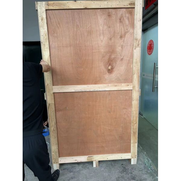 3D Holo Tube Human Size 75inch AI Virtual Assistant Holographic Cylinder Display Hologram Box