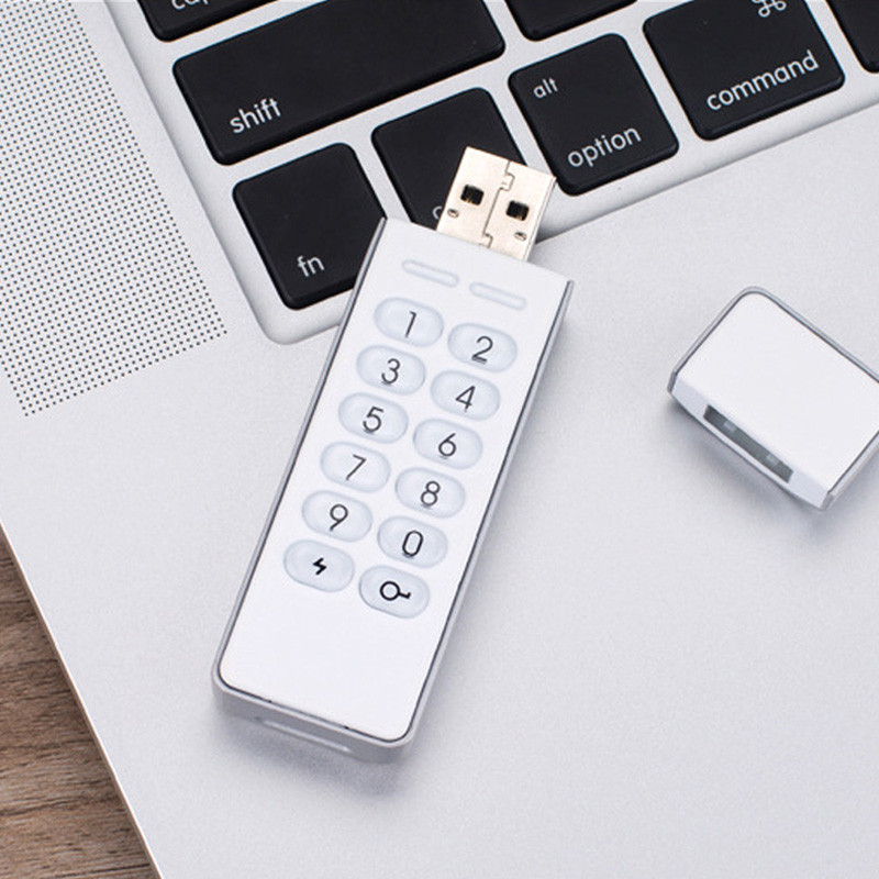 Datage High Level AES 256bit Password Encryption Flash USB Key Drive Encripted USB 2.0 Disk White