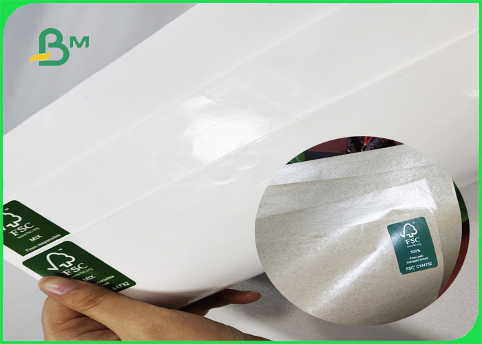 Innoxious 15gr PE 300gr Base Paper White And Brown Sheet For Making Box Of Food