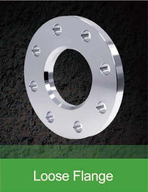 Stainless Steel SA-182 F 304 316 Pipe Flange Customized Size