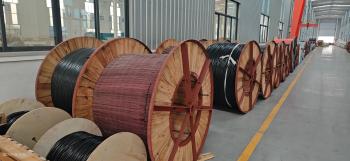 Shandong Jinyu Cable Co., Ltd.