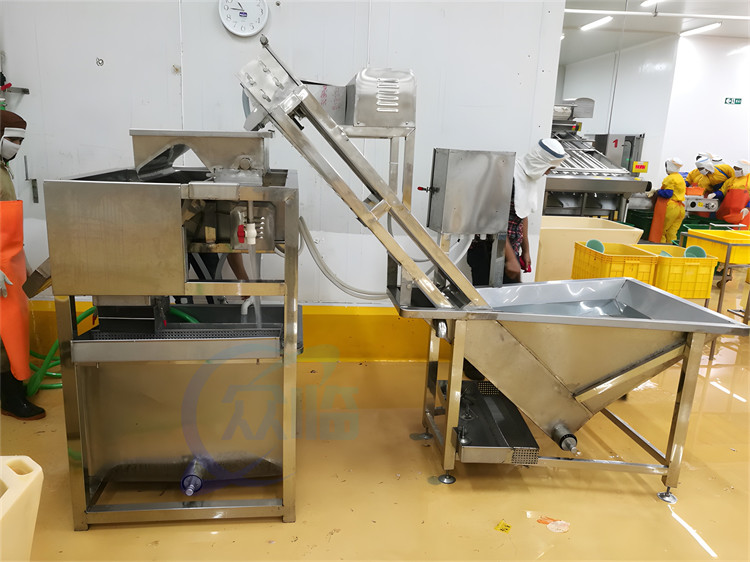 Automatic Shrimp Cleaning Machine 1.5KW Stable Large Capacity