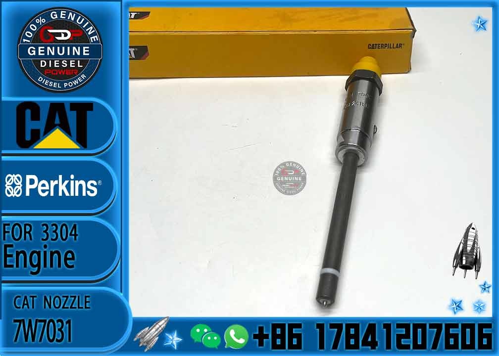 Fuel Injector Assembly 7W7031 0R-8787 0R-4124 0R-3591 0R-3423 0R-8785 0R-3424 170-5181