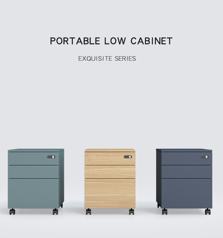 Mirror Door 0.4 To 1.5mm Mobile File Cabinet With Lock , 3 Drawer Mobile File Cabinet