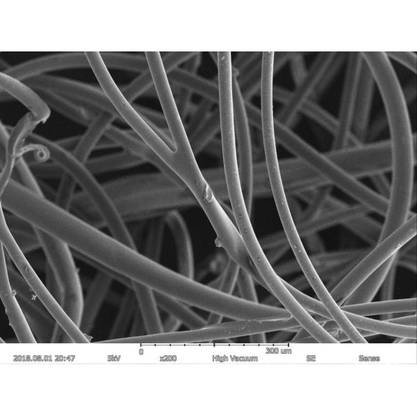 Magnification Max 150000X Scanning Electron Microscope 5nm Resolution EDS BSE