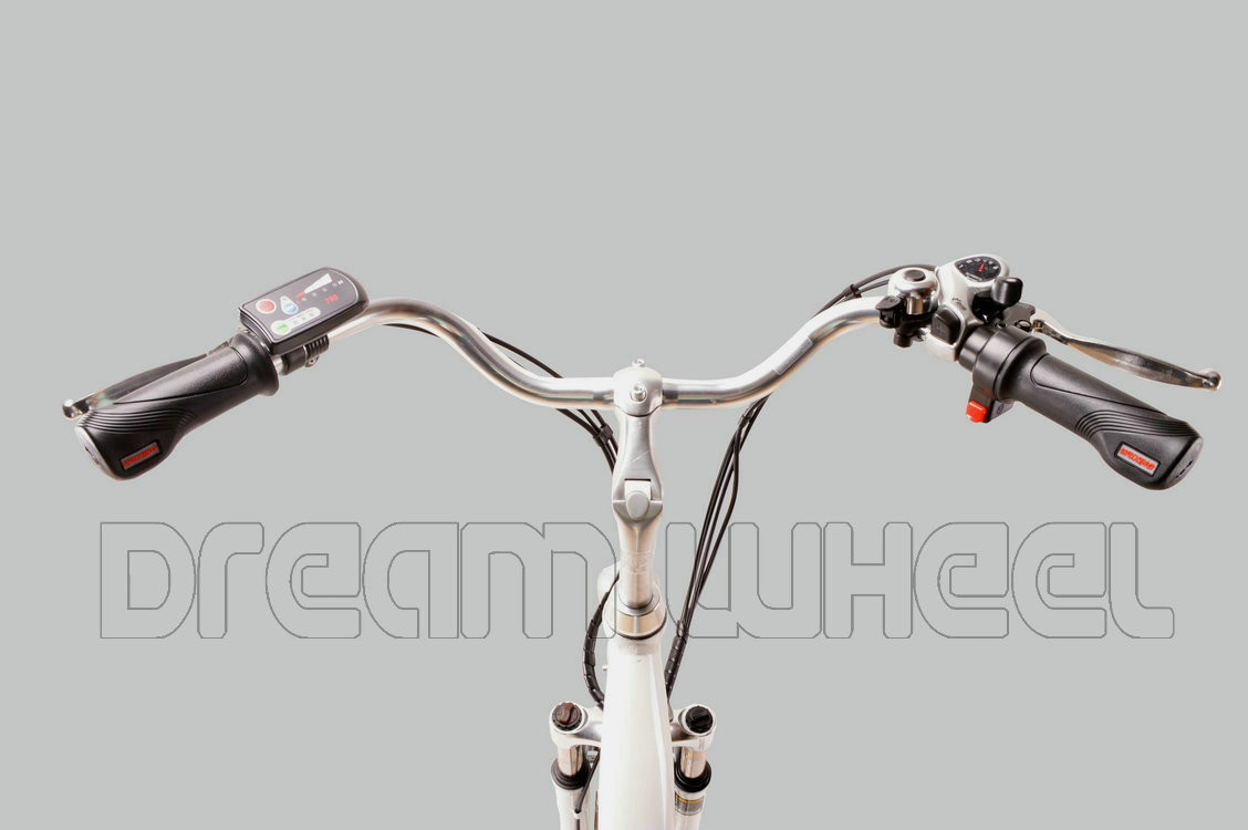 250W 24" Ladies Electric Urban Bike With Shimano Derailleur
