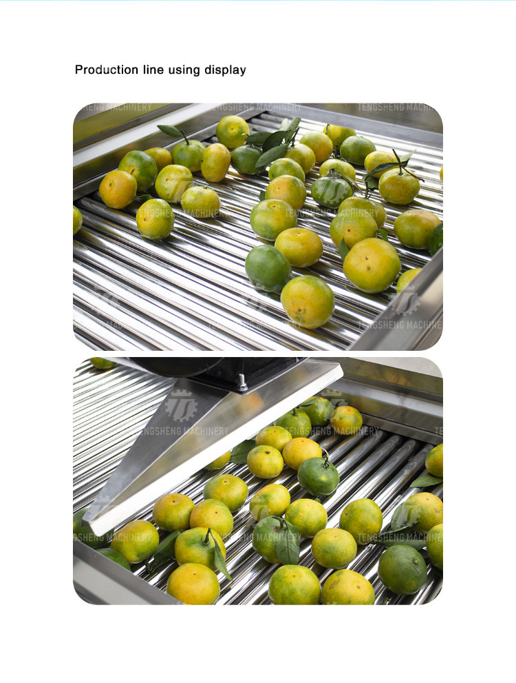 350KG 380V Fruit And Vegetable Air Drying Machine Large Parallel Air Drying Machine