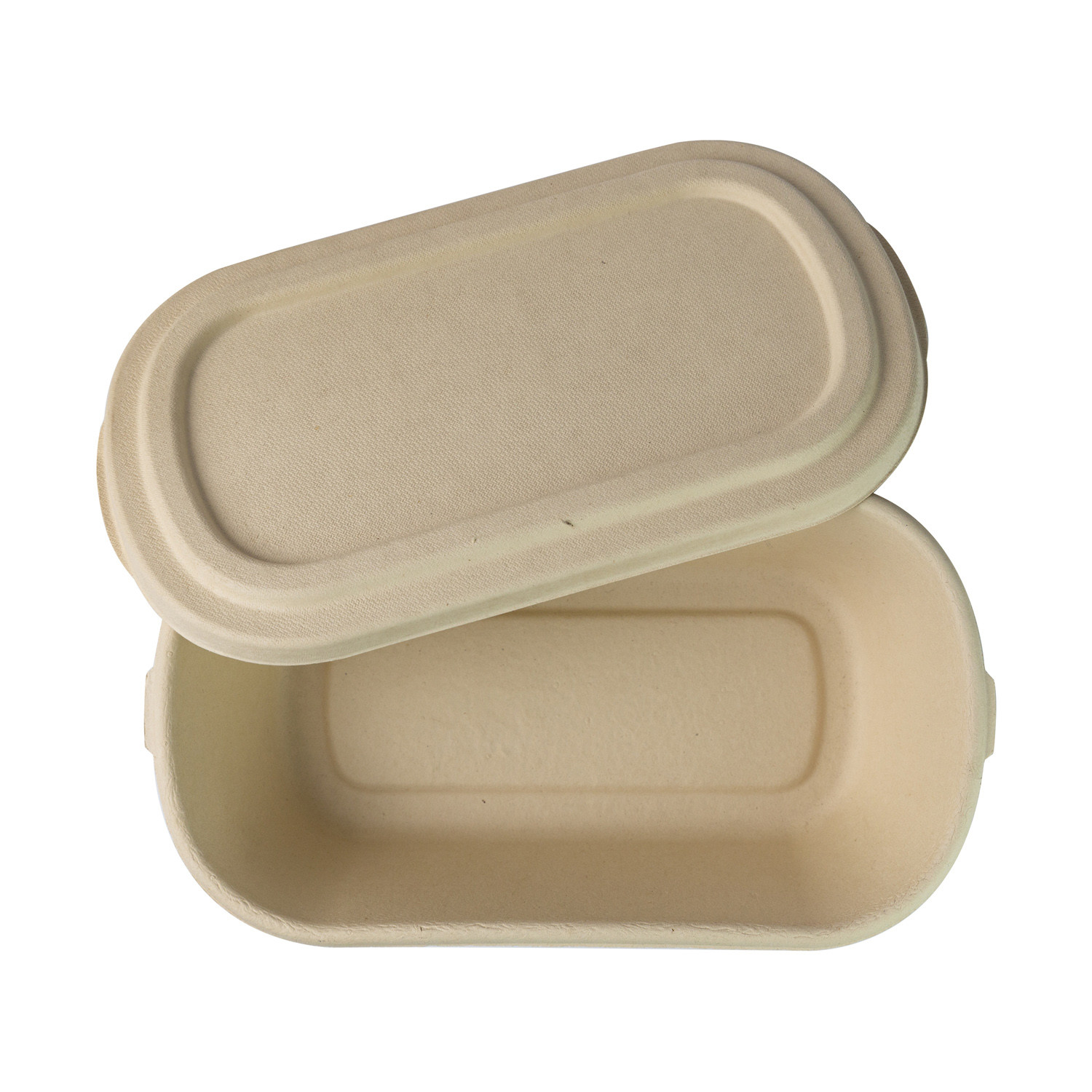 Biodegradable Paper Pulp Lunch Container, Sugarcane Bagasse Food Container, Disposable Tableware