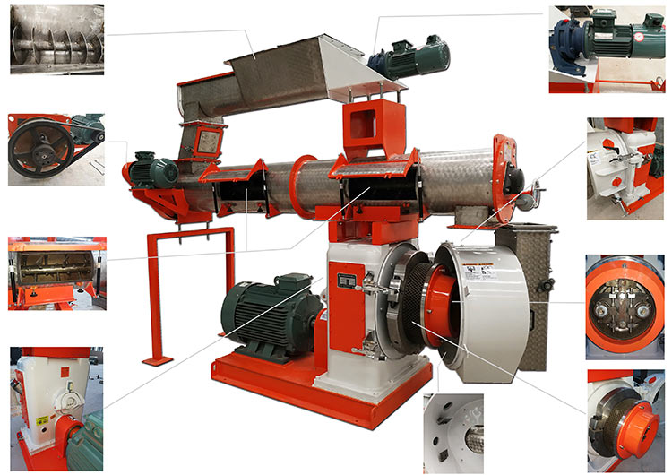feed pellet machine