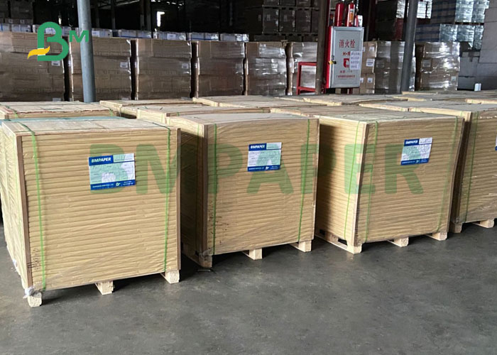 150 microns PP PET Synthetic Poster Material Paper 285 x 430mm Tear Resistant