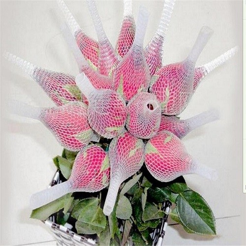 Milky White Protective Netting Sleeve 6-27CM Length Non Toxic For Rose Flower