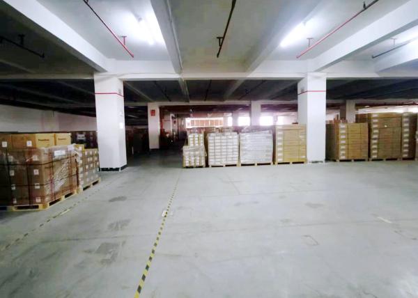 International Logistics Chinese Shipping Forwarders Professional Delivery To
