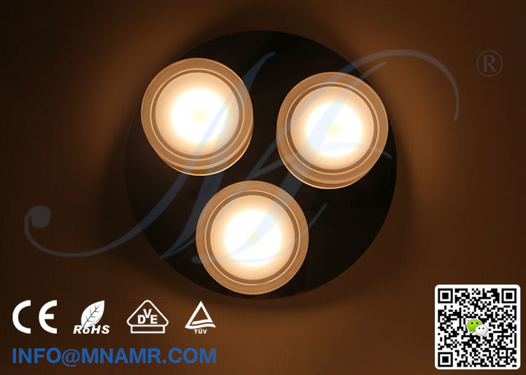 Customized Design Restaurant Ceiling Light Restaurant Ceiling Lamp 15W AC86-265V