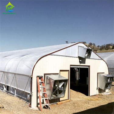 Blackout Mushroom Single-span Tunnel Light Deprivation Greenhouse For Agriculture