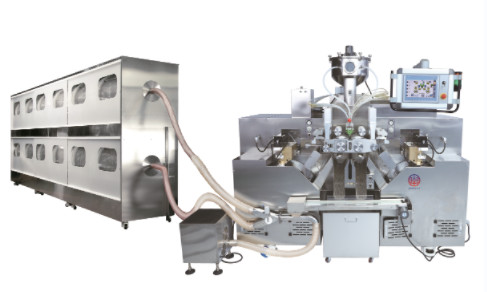 Big Veggie Soft Gelatin Capsule Machine SS304 SS316L