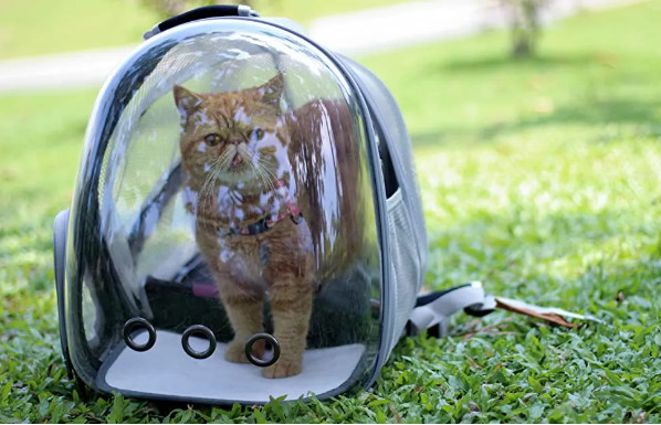 Transparent Pet Carrier Backpack Capsule Outdoor Large Space Pet Carrier Bag