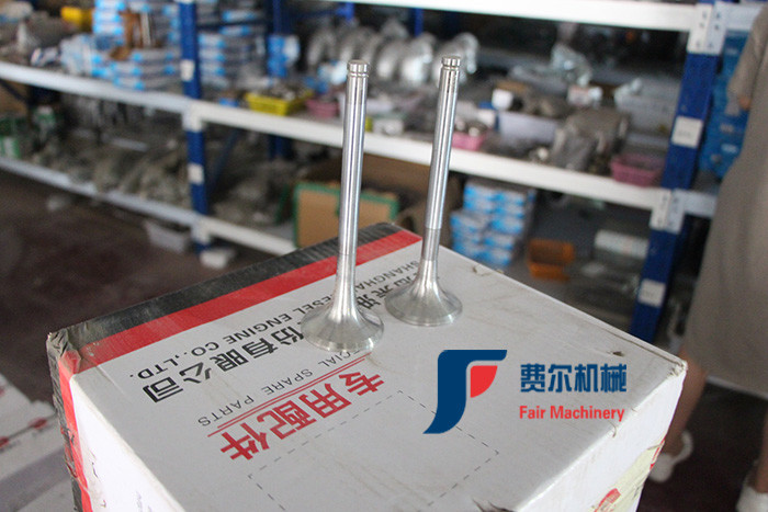 Original Authentic Weichai Deutz Exhaust Valve 12159608 For Loader