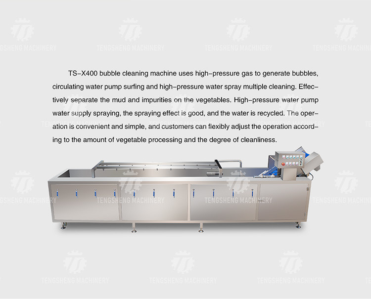 340KG Multi-functional vegetable washing machine large vegetable washing machine continuous type
