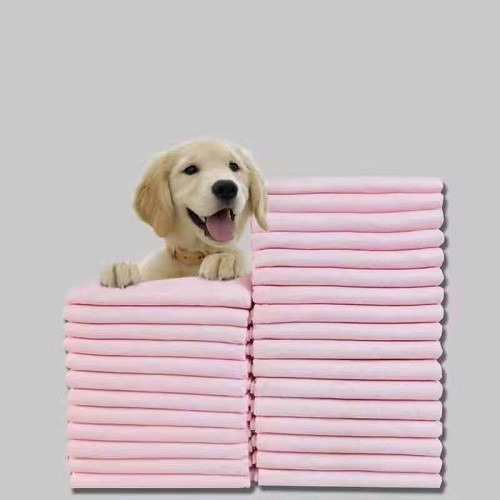 Agility Training Disposable Pet Pads White 45x60cm 33x45cm 60x60cm