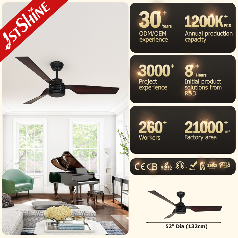 ceiling fan