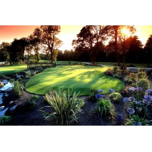 Custom Perfect Golf Artificial Turf Drought Proof Long Service Life