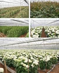 Yiwu Runsh Technology Co.,ltd