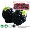 Buy cheap High quality organic dried Mulberry Fruit Extract powder from wholesalers