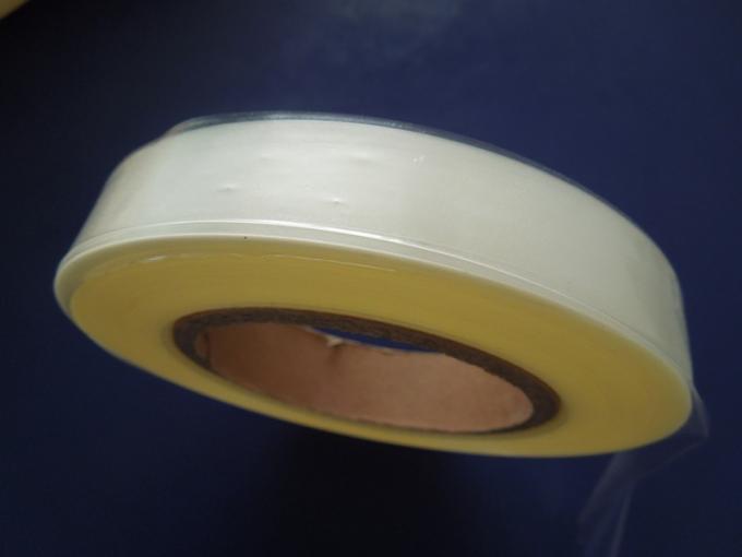 seed tape1.jpg