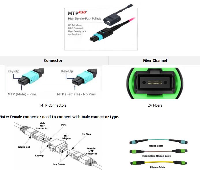 24 Fibers MTP Female To MTP Female OM3 3.0mm LSZH MTP Patch Cord Custom Meters