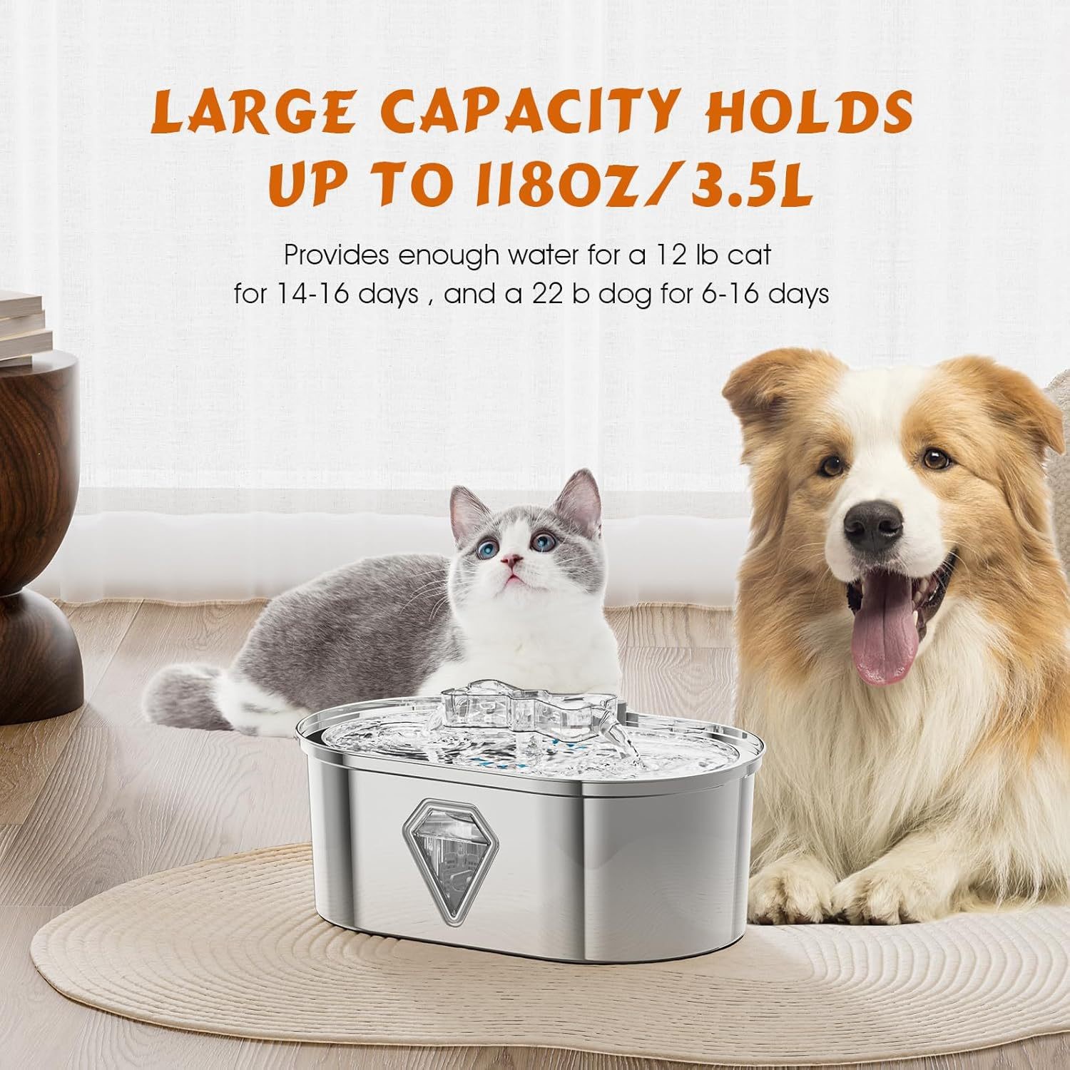 Pet Water Fountain with Advanced Filtration System | Ensure Clean and Healthy Hydration