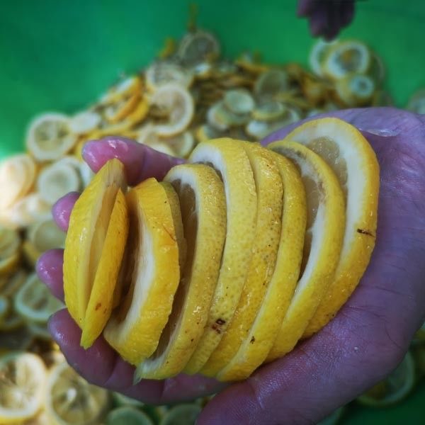 Fruits Vegetable Cutting Slicing Fruit Pitting Machine