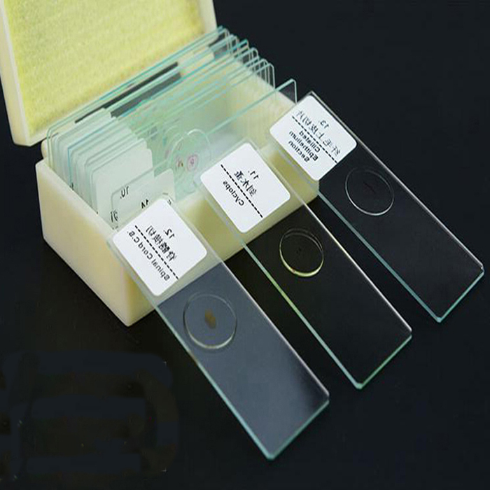10pcs Mixed Glass Microscope Slides Medical Education Use For Children Study