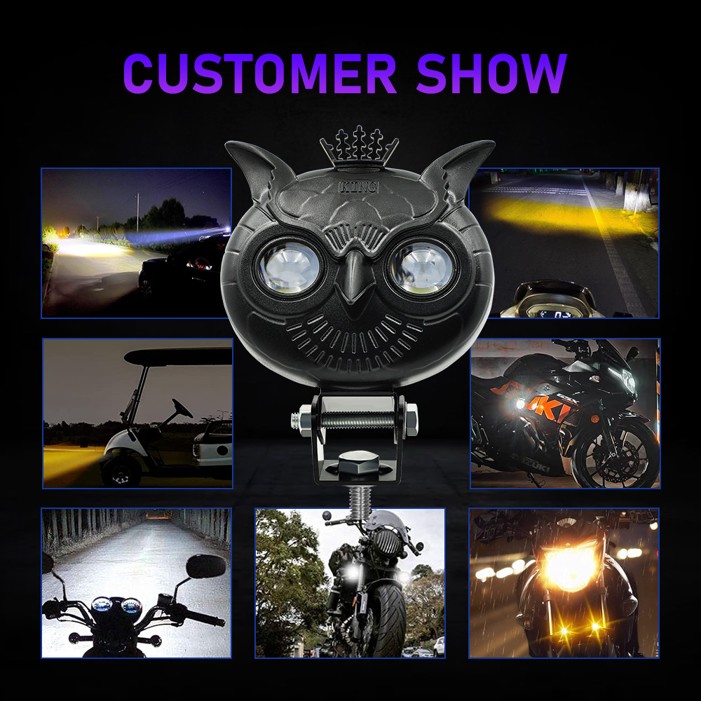 Aluminum Owl Crown Style LED Mini Driving Auxiliary Light For Motorcycle