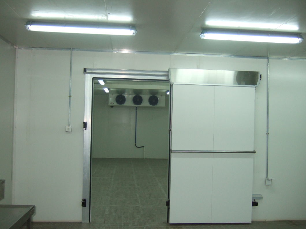 Polyurethane Sandwich Panel for Cold Storage Chiller Cooler Room