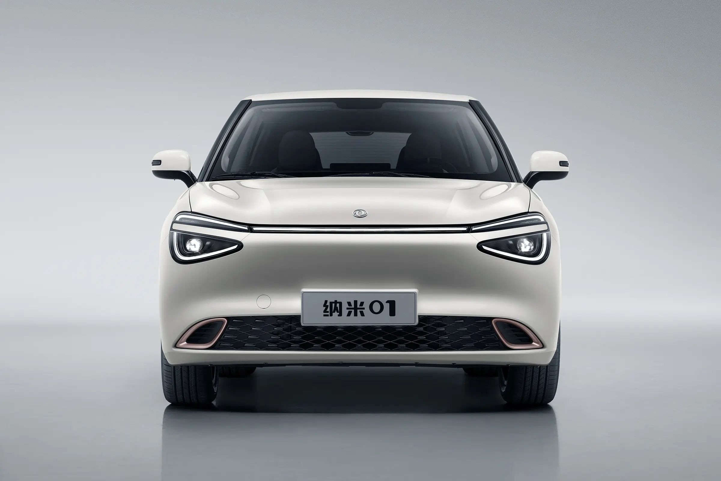 New Cheap Dongfeng Nano Nami BOX Range 201 KM EV Small 5-door 4-seater SUV New Energy Electric Vehicles Pure Electric Cars
