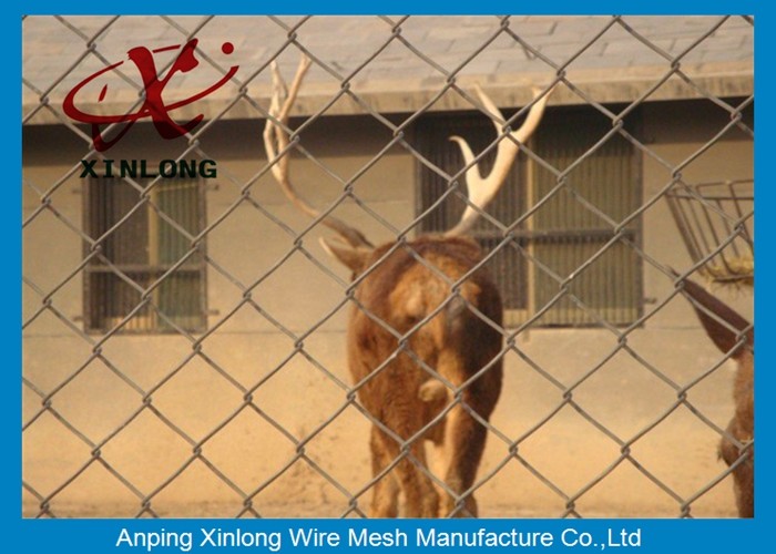 50*50mm PVC Coated Chain Link Fence / Diamond Wire Mesh Round Post Type