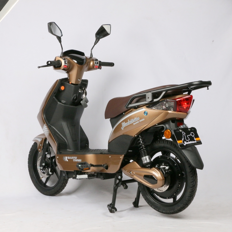 Steel Frame Electric Moped Bike With Pedals LCD Display 48V 31.2Ah Lithium Battery