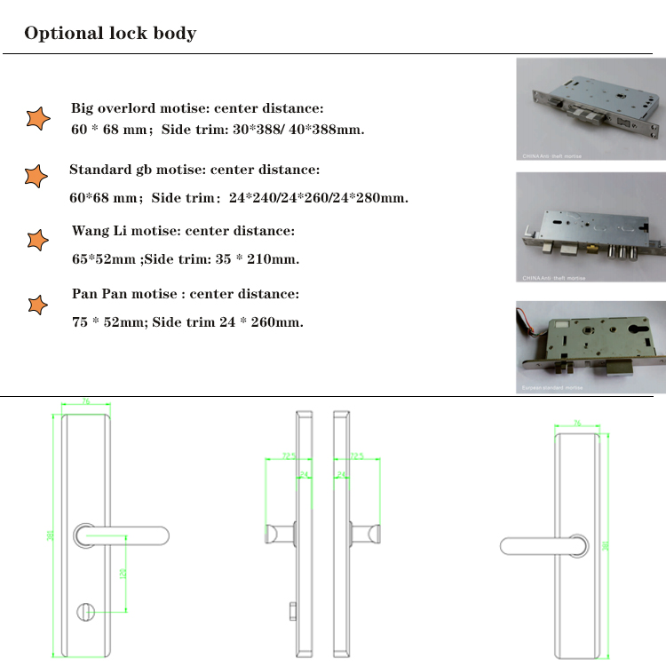 OEM ODM Black RFID Smart Door Lock With Fingerprint And Password