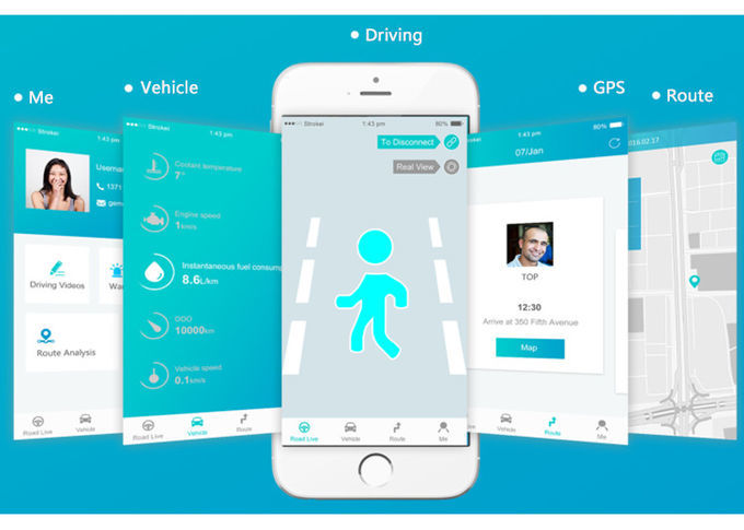 FCWS Lane Departure Warning System Pedestrial Warning Dvr Similar With Mob