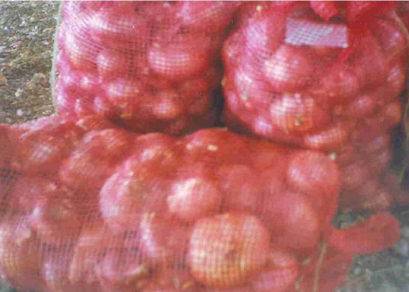 PP Woven Mesh Produce Bags Recyclable 20 - 50 Kg